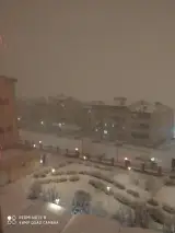 مجتمع شقایق