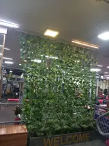 باشگاه بدنسازی ابراهیمی