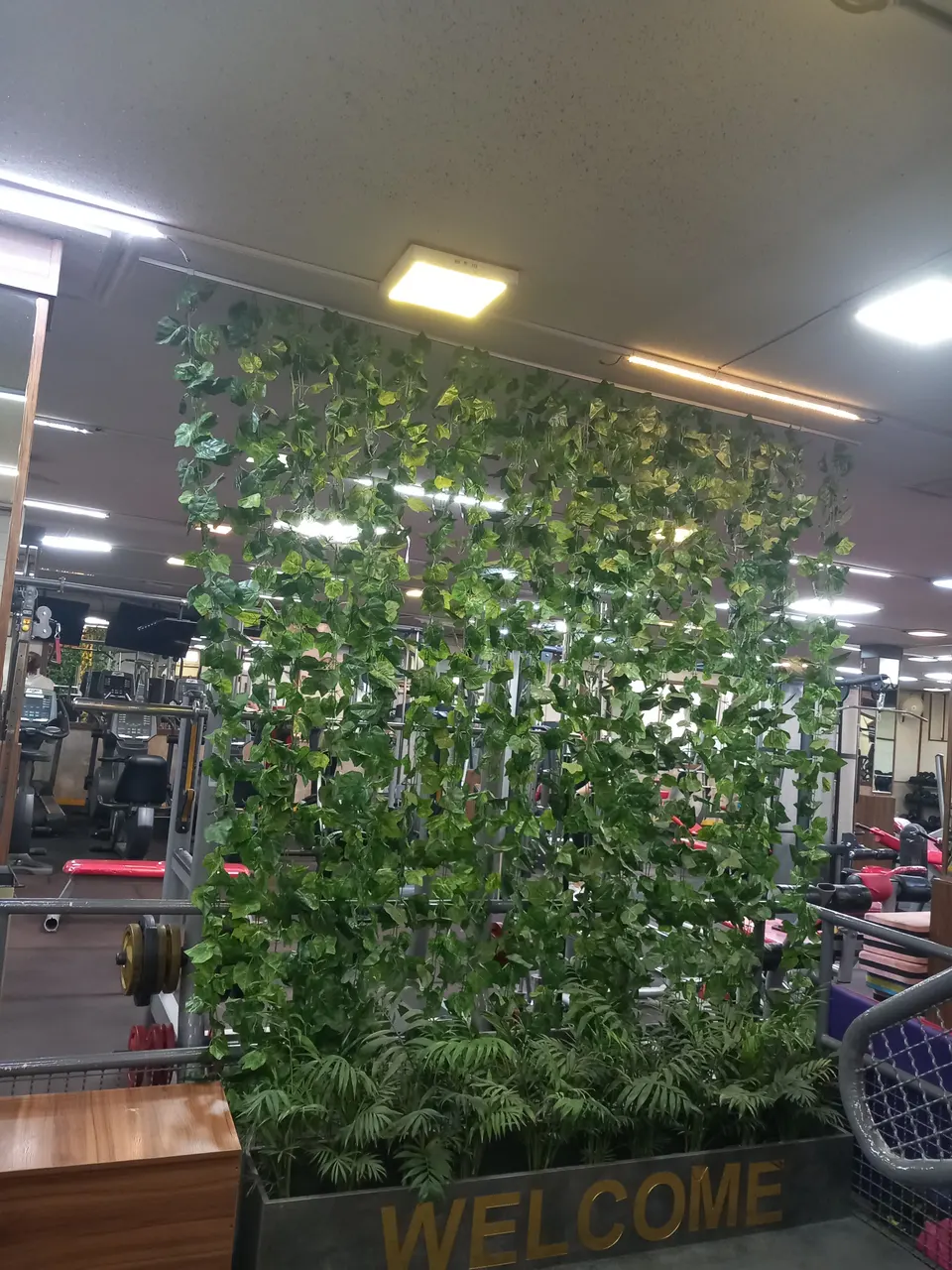 باشگاه بدنسازی ابراهیمی