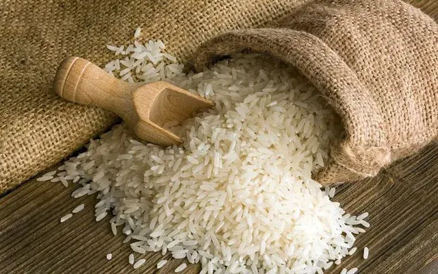 پخش خشکبار دهقان