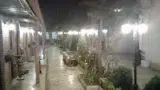 تالار نارون