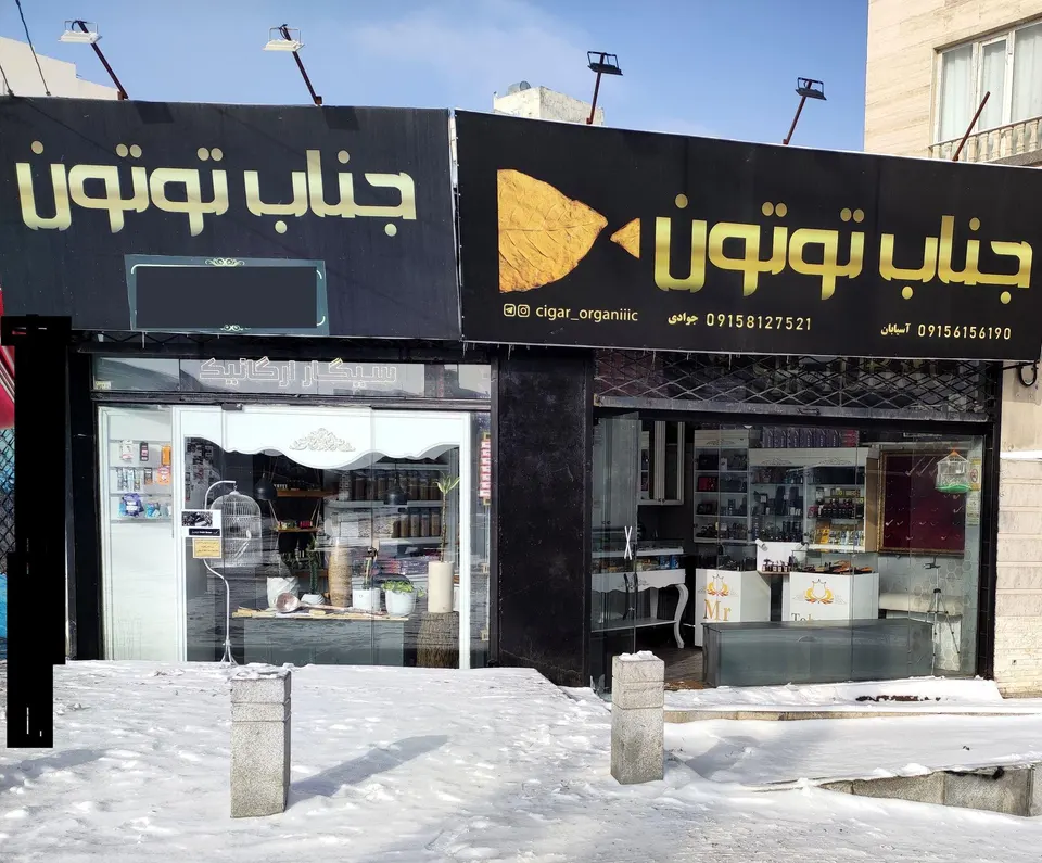 جناب توتون