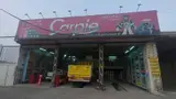 اتوسرویس تعویض روغنی