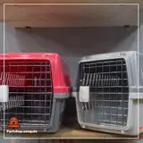 پت شاپ زنگوله