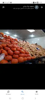 میوه وتره بار بیک مرادی
