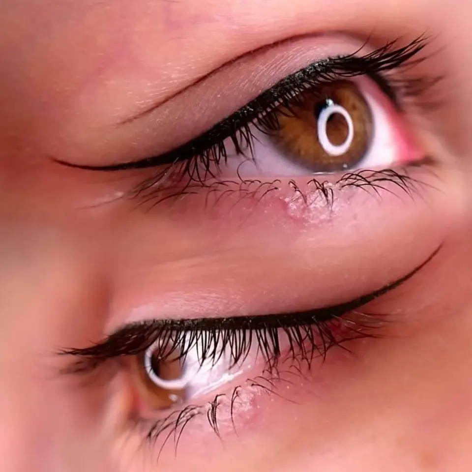 میکروبلدینگ ابرو سمیرا حمزه ای