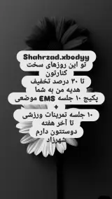 شهرزاد ایکس بادی