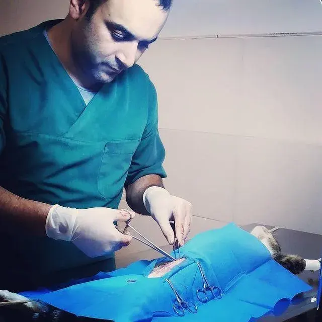 کلینیک دامپزشکی و پت شاپ
