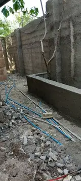 رسول بادودم