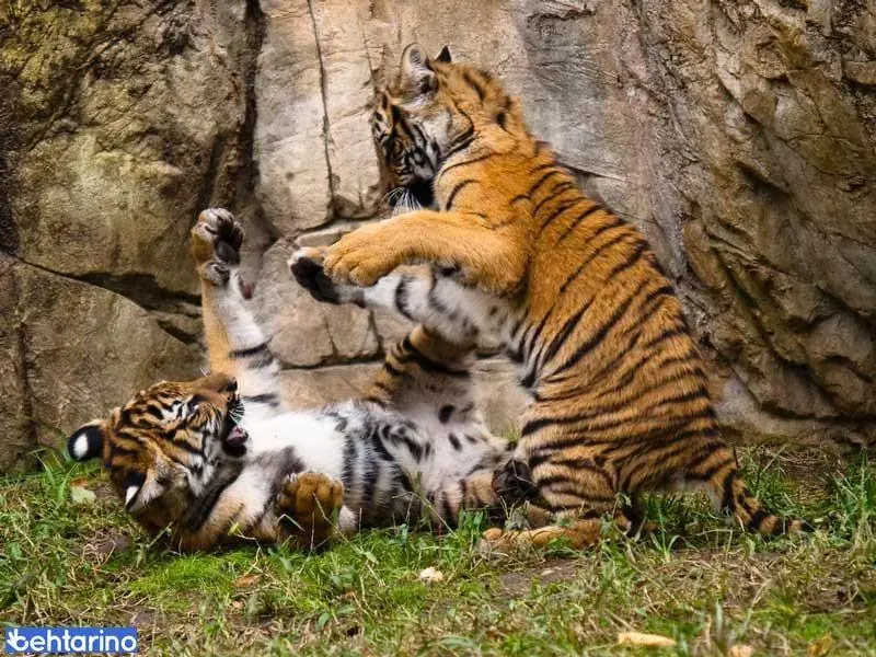 managed-by-sync_ad_images:imp-488b0cedb5b0e9012c5a