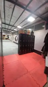 باشگاه ورزشی شینتو