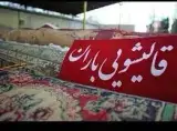 کارخانه قالیشویی نمونه باران
