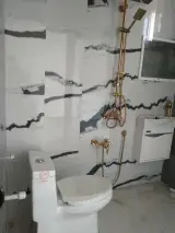 حسن شعبانزاده