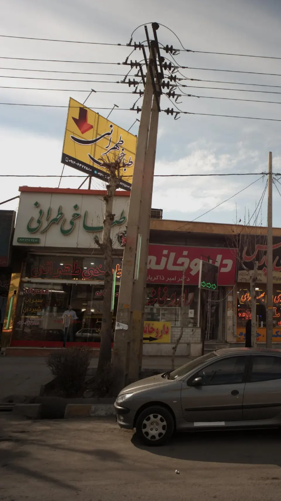 طباخی تهرانی