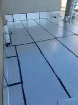 مجتبی عباسی