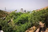 بوستان نیلوفر