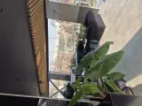 کافه رستوران لچه لانژ
