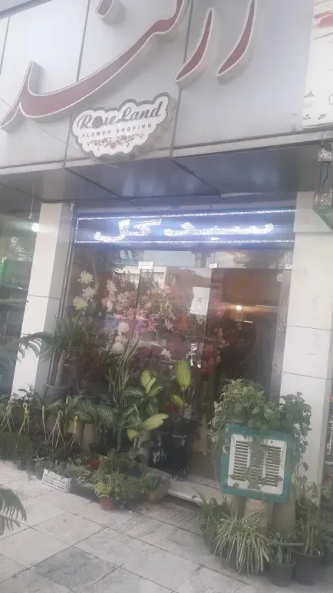 رزلند