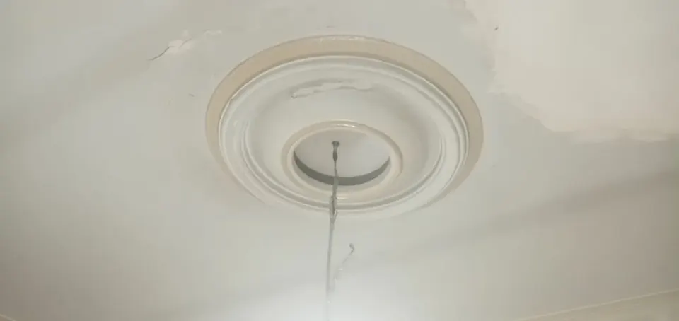 حسین تارخه