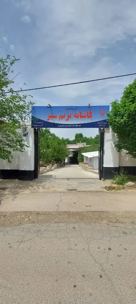 مرکز ترک اعتیاد کاشانه ترنم سبز (کرشت)