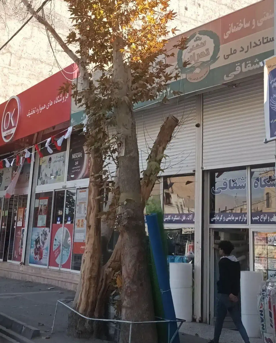 فروشگاه صنعت ساختمانی شقاقی
