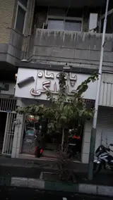 پا به ماه حاملگی