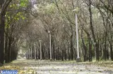 پارک بابا قدرت