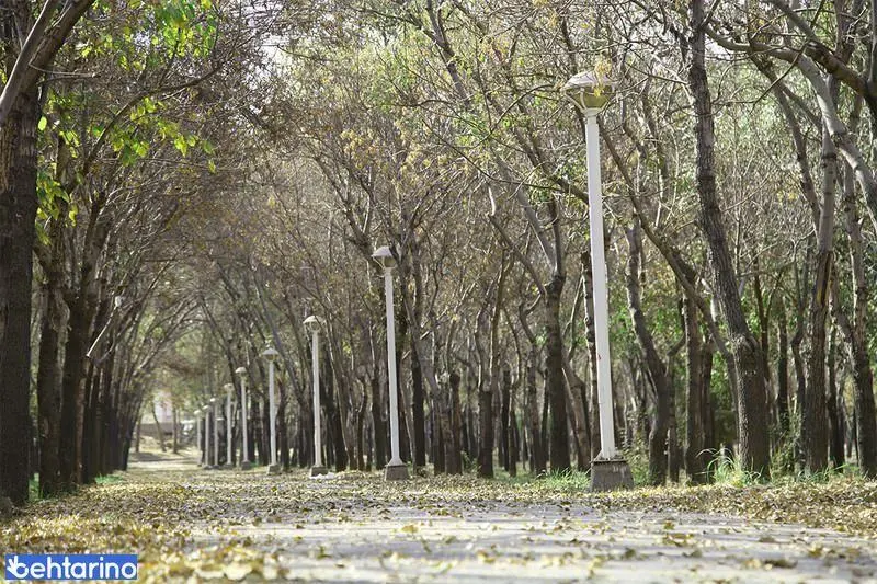 پارک بابا قدرت