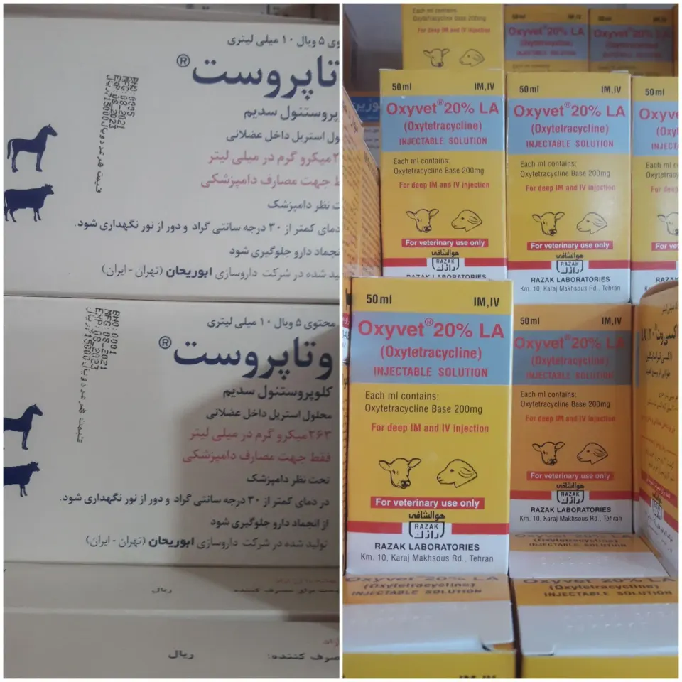 داروخانه دامپزشکی دکترشیخ حسنی