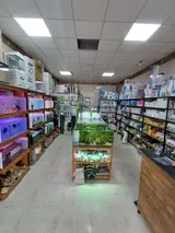 آکواریوم چشم انداز آبی