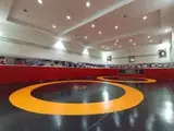 باشگاه کشتی معاونیان