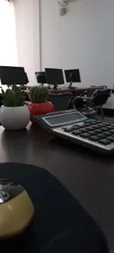 موسسه رایین حساب پایا