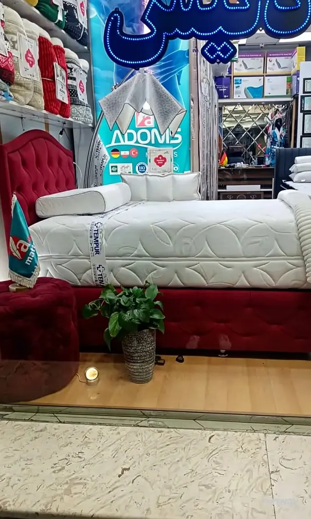 تشک ادنیس