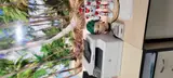 دکتر روانپزشک فرامرز ذاکری
