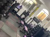 باشگاه بدنسازی آلفا