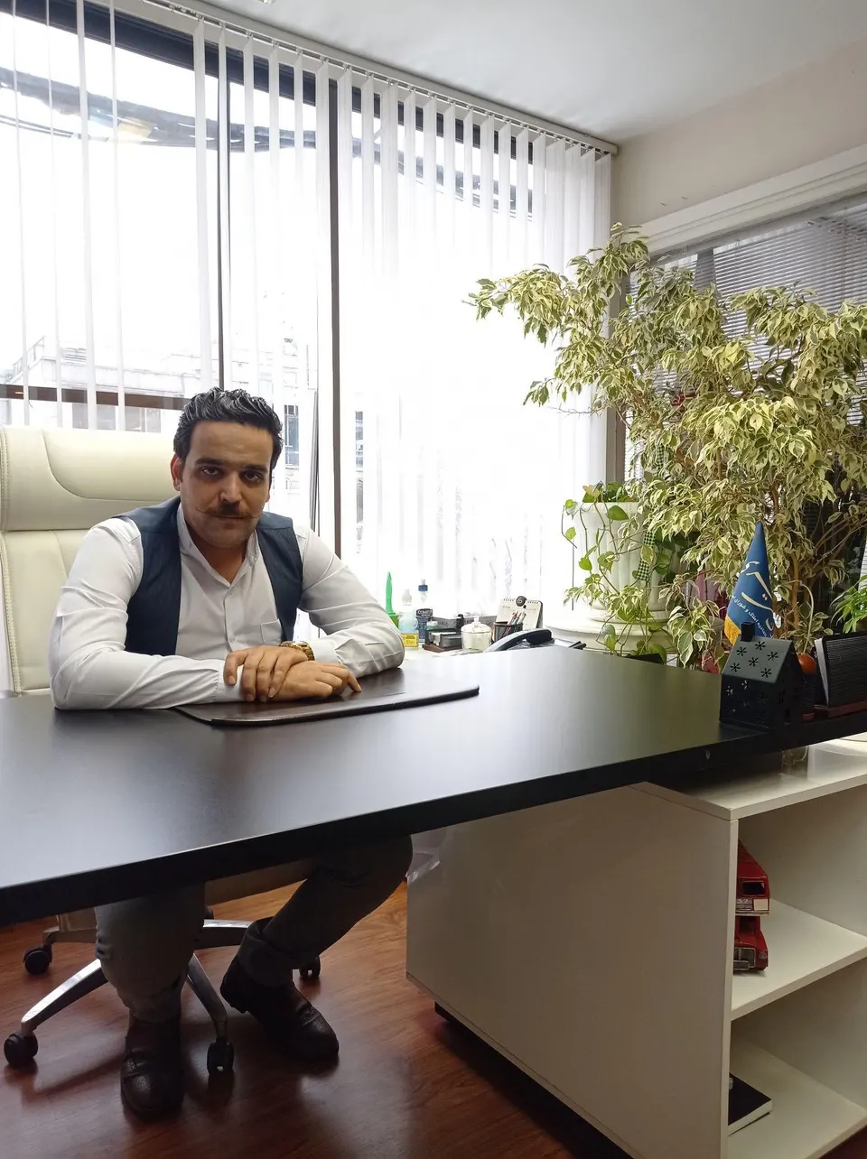 گروه بزرگ مشاورین املاک و مستغلات پاشا