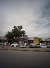 طباخی مهدیار