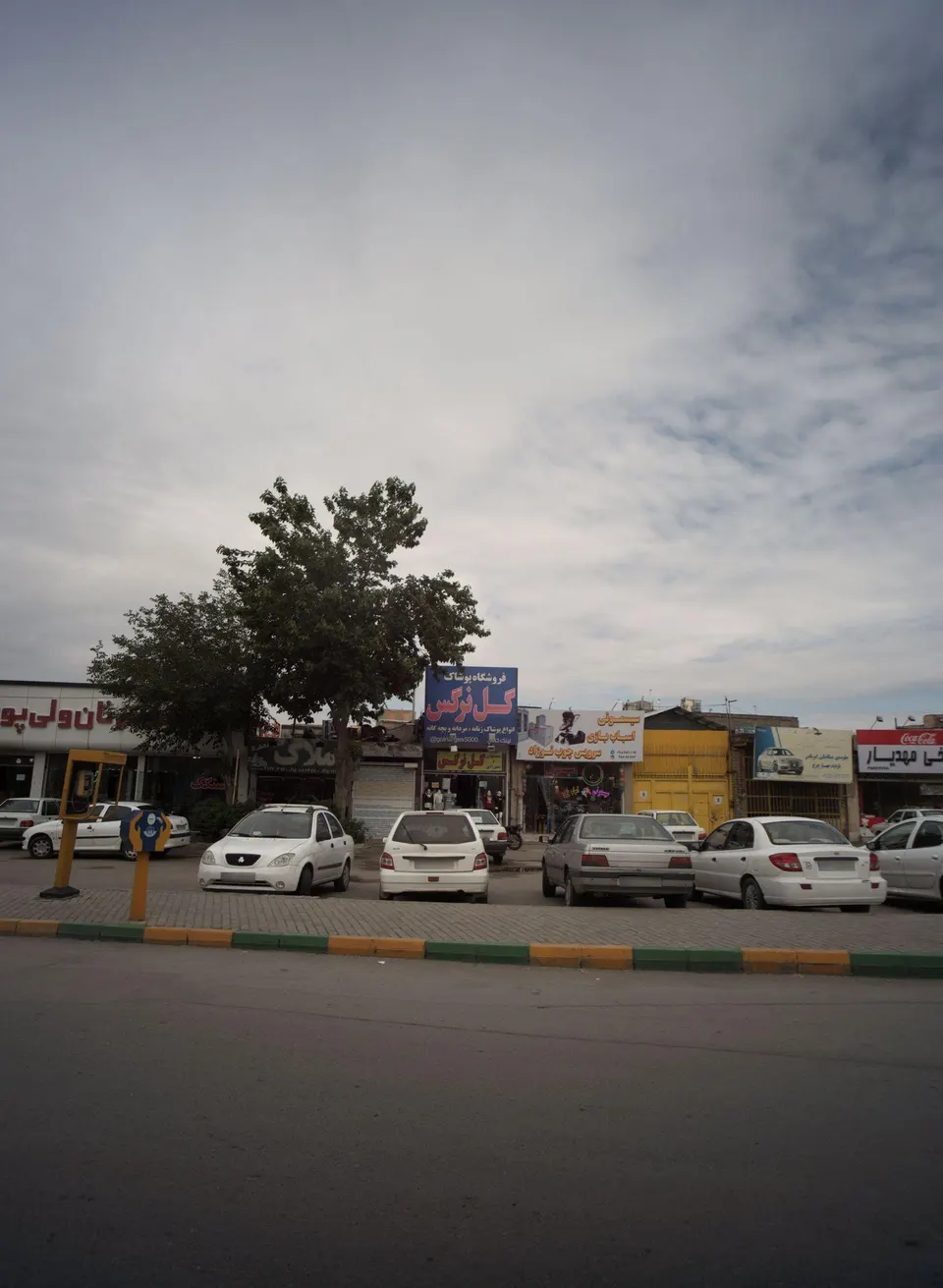 طباخی مهدیار