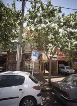 طباخی معین درباری