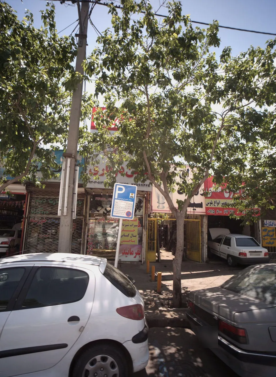 طباخی معین درباری
