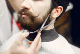 پیرایش برادران
