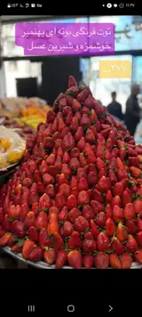 میوه فروشی مستشاری