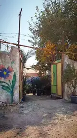 گلخانه یاس فروش انواع گل اپارتمانی و۰۰۰