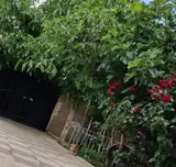 سوئیت اجاره ای ارزان