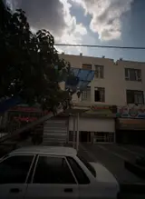 ساندویچ