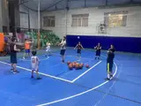 باشگاه بسکتبال نیکل