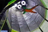 تونل باد صبا