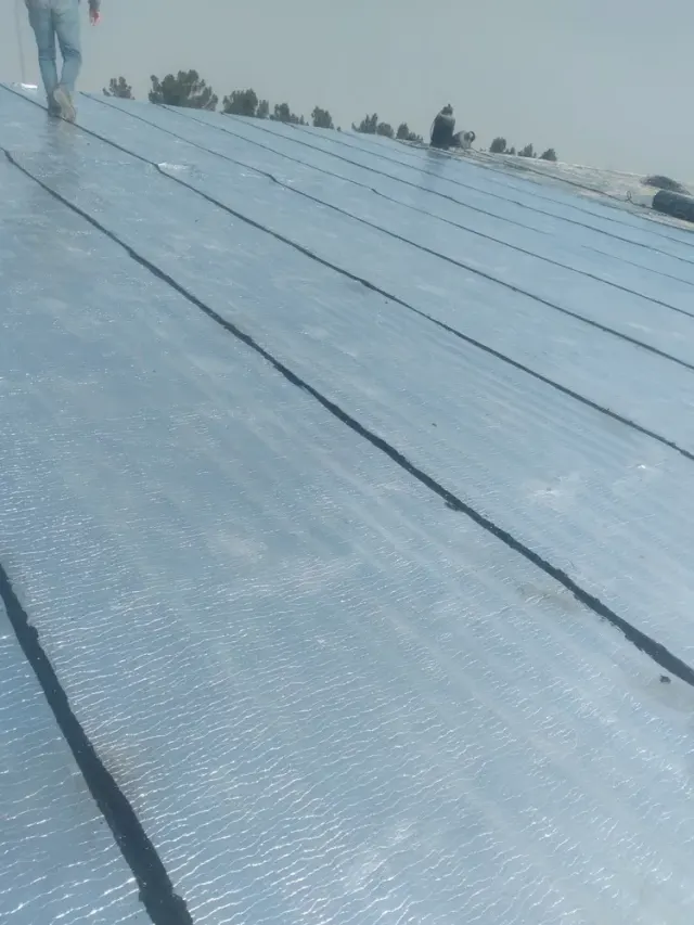 علی بیگ زاده