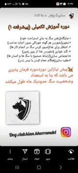 مربی سگ (کیان)