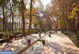 بوستان باغ ایرانی (باغ ایرانی)